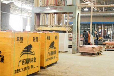 工程優(yōu)選建筑模板廠家-黑豹木業(yè)